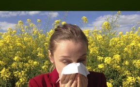 Seasonal Allergies Survival Guide PLR