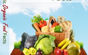 Fantastic Organic Food Facts MRR