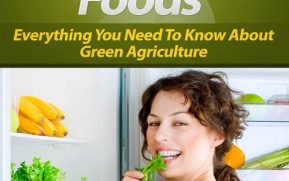 Going Green Foods MRR