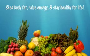 The Paleo Blueprint PLR