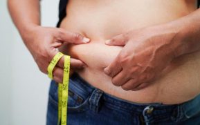 Bodyweight Burn Niche Pack