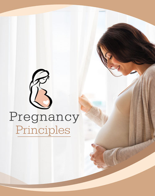 Pregnancy Principles PLR